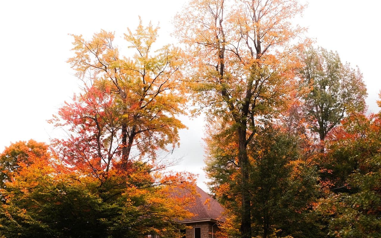 Home Care in Hampton, PA — Mary Angels Home Care